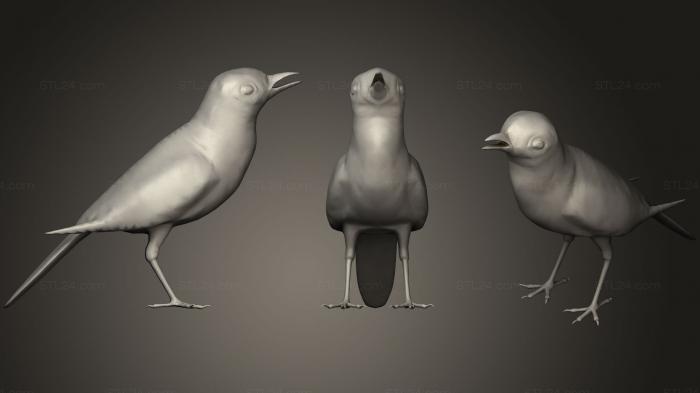 Статуэтки животных (Белая трясогузка, STKJ_1618) 3D модель для ЧПУ станка